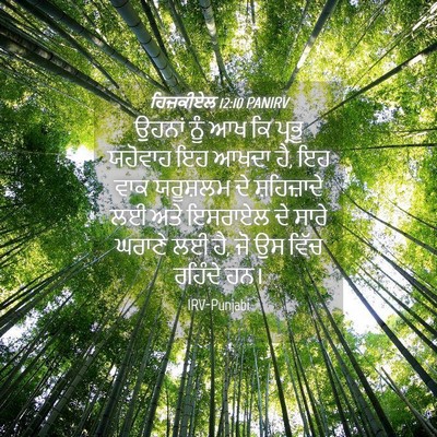 Picture 04 - ਹਿਜ਼ਕੀਏਲ 12:10 PANIRV - ਉਹਨਾਂ ਨੂੰ ਆਖ ਕਿ - Bible Verse Picture