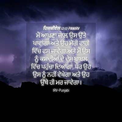 Picture 04 - ਹਿਜ਼ਕੀਏਲ 12:13 PANIRV - ਮੈਂ ਆਪਣਾ ਜਾਲ਼ ਉਸ - Bible Verse Picture