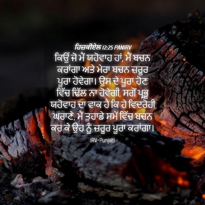 Picture 04 - ਹਿਜ਼ਕੀਏਲ 12:25 PANIRV - ਕਿਉਂ ਜੋ ਮੈਂ ਯਹੋਵਾਹ - Bible Verse Picture