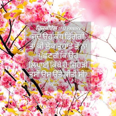 Picture 04 - ਹਿਜ਼ਕੀਏਲ 13:12 PANIRV - ਜਦੋਂ ਉਹ ਕੰਧ - Bible Verse Picture