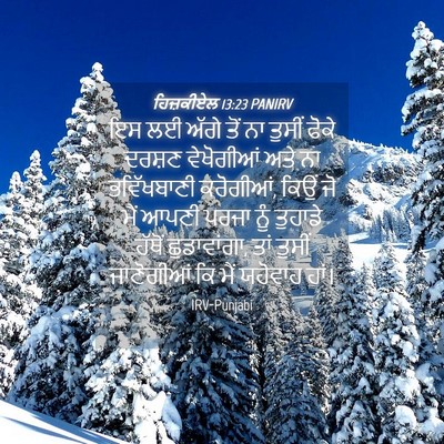 Picture 04 - ਹਿਜ਼ਕੀਏਲ 13:23 PANIRV - ਇਸ ਲਈ ਅੱਗੇ ਤੋਂ ਨਾ - Bible Verse Picture