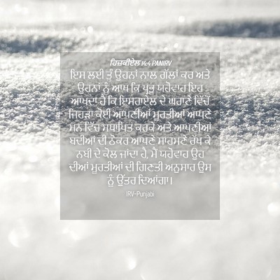 Picture 04 - ਹਿਜ਼ਕੀਏਲ 14:4 PANIRV - ਇਸ ਲਈ ਤੂੰ ਉਹਨਾਂ ਨਾਲ - Bible Verse Picture
