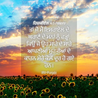 Picture 04 - ਹਿਜ਼ਕੀਏਲ 14:5 PANIRV - ਤਾਂ ਜੋ ਮੈਂ ਇਸਰਾਏਲ - Bible Verse Picture