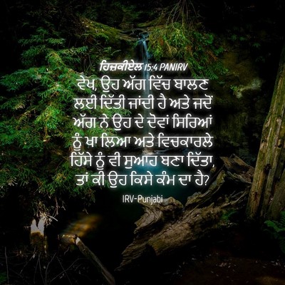 Picture 04 - ਹਿਜ਼ਕੀਏਲ 15:4 PANIRV - ਵੇਖ, ਉਹ ਅੱਗ ਵਿੱਚ - Bible Verse Picture