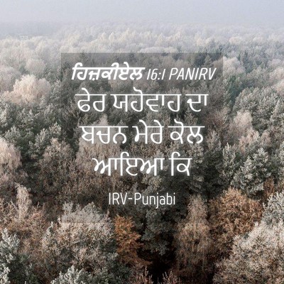 Picture 04 - ਹਿਜ਼ਕੀਏਲ 16:1 PANIRV - ਫੇਰ ਯਹੋਵਾਹ ਦਾ ਬਚਨ - Bible Verse Picture