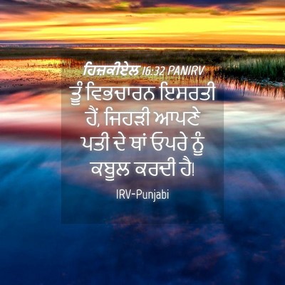 Picture 04 - ਹਿਜ਼ਕੀਏਲ 16:32 PANIRV - ਤੂੰ ਵਿਭਚਾਰਨ ਇਸਰਤੀ - Bible Verse Picture