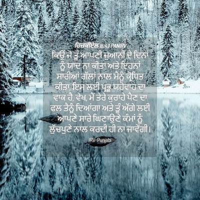 Picture 04 - ਹਿਜ਼ਕੀਏਲ 16:43 PANIRV - ਕਿਉਂ ਜੋ ਤੂੰ ਆਪਣੀ - Bible Verse Picture