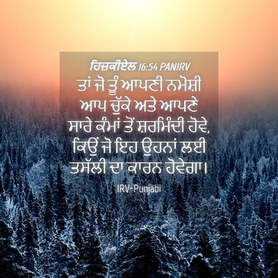 Picture 04 - ਹਿਜ਼ਕੀਏਲ 16:54 PANIRV - ਤਾਂ ਜੋ ਤੂੰ ਆਪਣੀ - Bible Verse Picture
