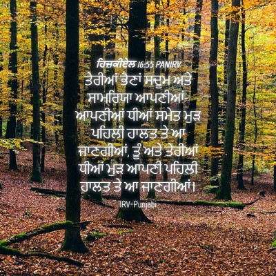 Picture 04 - ਹਿਜ਼ਕੀਏਲ 16:55 PANIRV - ਤੇਰੀਆਂ ਭੈਣਾਂ ਸਦੂਮ - Bible Verse Picture