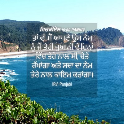 Picture 04 - ਹਿਜ਼ਕੀਏਲ 16:60 PANIRV - ਤਾਂ ਵੀ ਮੈਂ ਆਪਣੇ ਉਸ - Bible Verse Picture