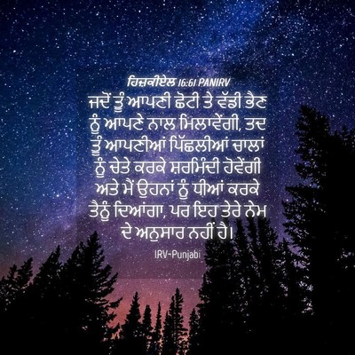 Picture 04 - ਹਿਜ਼ਕੀਏਲ 16:61 PANIRV - ਜਦੋਂ ਤੂੰ ਆਪਣੀ ਛੋਟੀ - Bible Verse Picture