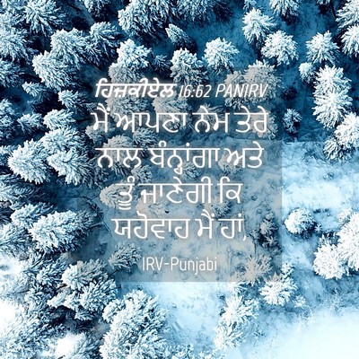 Picture 04 - ਹਿਜ਼ਕੀਏਲ 16:62 PANIRV - ਮੈਂ ਆਪਣਾ ਨੇਮ ਤੇਰੇ - Bible Verse Picture