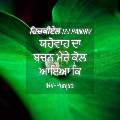 Picture 04 - ਹਿਜ਼ਕੀਏਲ 17:1 PANIRV - ਯਹੋਵਾਹ ਦਾ ਬਚਨ ਮੇਰੇ - Bible Verse Picture