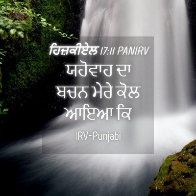 Picture 04 - ਹਿਜ਼ਕੀਏਲ 17:11 PANIRV - ਯਹੋਵਾਹ ਦਾ ਬਚਨ ਮੇਰੇ - Bible Verse Picture