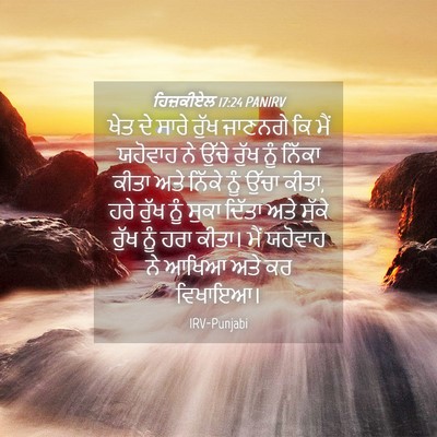 Picture 04 - ਹਿਜ਼ਕੀਏਲ 17:24 PANIRV - ਖੇਤ ਦੇ ਸਾਰੇ ਰੁੱਖ - Bible Verse Picture