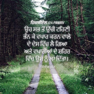 Picture 04 - ਹਿਜ਼ਕੀਏਲ 17:4 PANIRV - ਉਹ ਸਭ ਤੋਂ ਉੱਚੀ - Bible Verse Picture