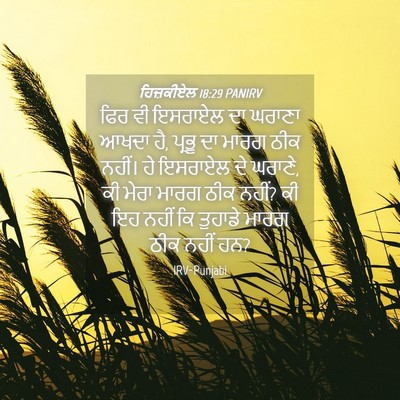 Picture 04 - ਹਿਜ਼ਕੀਏਲ 18:29 PANIRV - ਫਿਰ ਵੀ ਇਸਰਾਏਲ ਦਾ - Bible Verse Picture