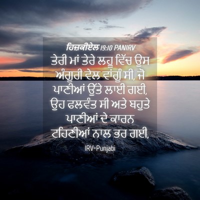 Picture 04 - ਹਿਜ਼ਕੀਏਲ 19:10 PANIRV - ਤੇਰੀ ਮਾਂ ਤੇਰੇ ਲਹੂ - Bible Verse Picture