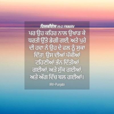 Picture 04 - ਹਿਜ਼ਕੀਏਲ 19:12 PANIRV - ਪਰ ਉਹ ਕਹਿਰ ਨਾਲ ਉਖਾੜ - Bible Verse Picture