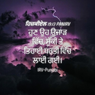 Picture 04 - ਹਿਜ਼ਕੀਏਲ 19:13 PANIRV - ਹੁਣ ਉਹ ਉਜਾੜ ਵਿੱਚ, - Bible Verse Picture