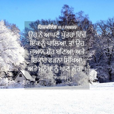 Picture 04 - ਹਿਜ਼ਕੀਏਲ 19:3 PANIRV - ਉਹ ਨੇ ਆਪਣੇ ਪੁੱਤਰਾਂ - Bible Verse Picture