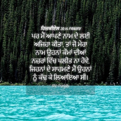 Picture 04 - ਹਿਜ਼ਕੀਏਲ 20:14 PANIRV - ਪਰ ਮੈਂ ਆਪਣੇ ਨਾਮ ਦੇ - Bible Verse Picture