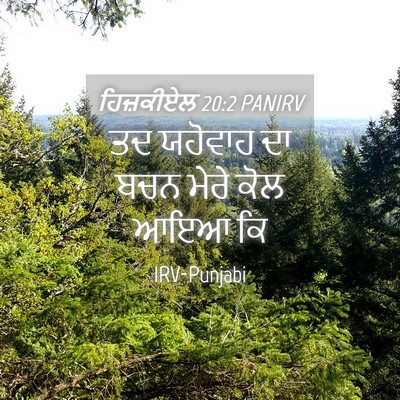Picture 04 - ਹਿਜ਼ਕੀਏਲ 20:2 PANIRV - ਤਦ ਯਹੋਵਾਹ ਦਾ ਬਚਨ - Bible Verse Picture