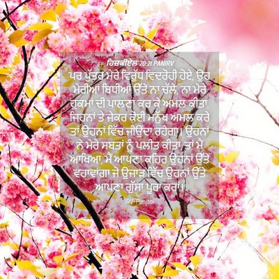 Picture 04 - ਹਿਜ਼ਕੀਏਲ 20:21 PANIRV - ਪਰ ਪੁੱਤਰ ਮੇਰੇ - Bible Verse Picture