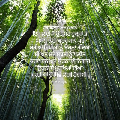 Picture 04 - ਹਿਜ਼ਕੀਏਲ 20:24 PANIRV - ਇਸ ਲਈ ਜੋ ਉਹ ਮੇਰੇ - Bible Verse Picture