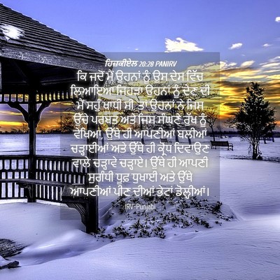 Picture 04 - ਹਿਜ਼ਕੀਏਲ 20:28 PANIRV - ਕਿ ਜਦੋਂ ਮੈਂ ਉਹਨਾਂ - Bible Verse Picture