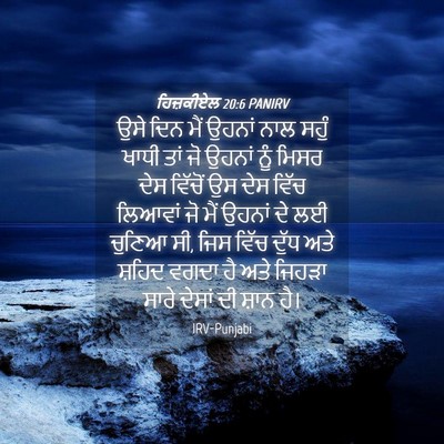 Picture 04 - ਹਿਜ਼ਕੀਏਲ 20:6 PANIRV - ਉਸੇ ਦਿਨ ਮੈਂ ਉਹਨਾਂ - Bible Verse Picture