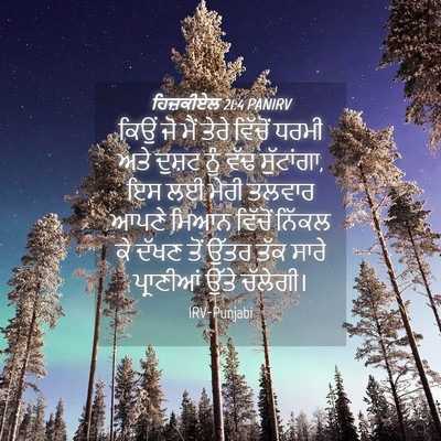 Picture 04 - ਹਿਜ਼ਕੀਏਲ 21:4 PANIRV - ਕਿਉਂ ਜੋ ਮੈਂ ਤੇਰੇ - Bible Verse Picture