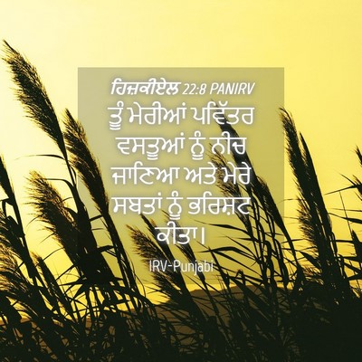 Picture 04 - ਹਿਜ਼ਕੀਏਲ 22:8 PANIRV - ਤੂੰ ਮੇਰੀਆਂ ਪਵਿੱਤਰ - Bible Verse Picture