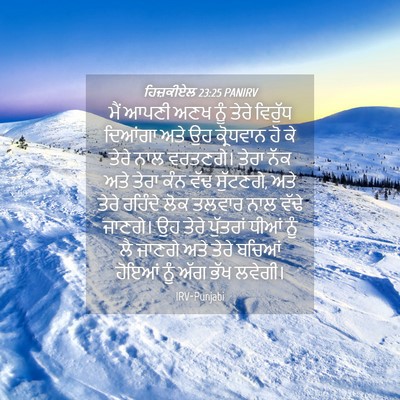 Picture 04 - ਹਿਜ਼ਕੀਏਲ 23:25 PANIRV - ਮੈਂ ਆਪਣੀ ਅਣਖ ਨੂੰ - Bible Verse Picture