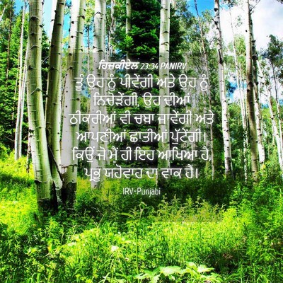 Picture 04 - ਹਿਜ਼ਕੀਏਲ 23:34 PANIRV - ਤੂੰ ਉਹ ਨੂੰ ਪੀਵੇਂਗੀ - Bible Verse Picture