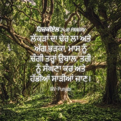 Picture 04 - ਹਿਜ਼ਕੀਏਲ 24:10 PANIRV - ਲੱਕੜਾਂ ਦਾ ਢੇਰ ਲਾ - Bible Verse Picture