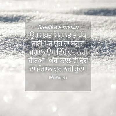 Picture 04 - ਹਿਜ਼ਕੀਏਲ 24:12 PANIRV - ਉਹ ਸਖ਼ਤ ਮਿਹਨਤ ਤੋਂ - Bible Verse Picture