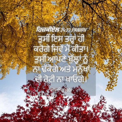 Picture 04 - ਹਿਜ਼ਕੀਏਲ 24:22 PANIRV - ਤੁਸੀਂ ਇਸ ਤਰ੍ਹਾਂ ਹੀ - Bible Verse Picture