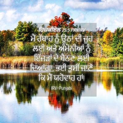 Picture 04 - ਹਿਜ਼ਕੀਏਲ 25:5 PANIRV - ਮੈਂ ਰੱਬਾਹ ਨੂੰ ਊਠਾਂ - Bible Verse Picture