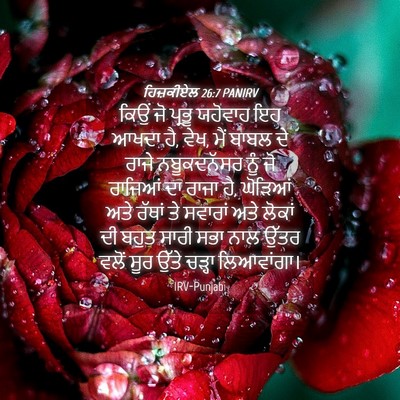 Picture 04 - ਹਿਜ਼ਕੀਏਲ 26:7 PANIRV - ਕਿਉਂ ਜੋ ਪ੍ਰਭੂ - Bible Verse Picture
