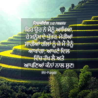 Picture 04 - ਹਿਜ਼ਕੀਏਲ 3:10 PANIRV - ਫਿਰ ਉਹ ਨੇ ਮੈਨੂੰ - Bible Verse Picture
