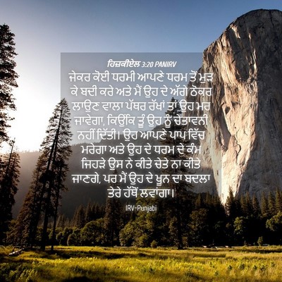Picture 04 - ਹਿਜ਼ਕੀਏਲ 3:20 PANIRV - ਜੇਕਰ ਕੋਈ ਧਰਮੀ ਆਪਣੇ - Bible Verse Picture