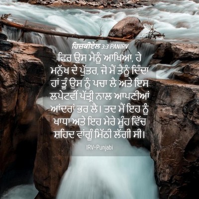Picture 04 - ਹਿਜ਼ਕੀਏਲ 3:3 PANIRV - ਫਿਰ ਉਸ ਮੈਨੂੰ ਆਖਿਆ, - Bible Verse Picture