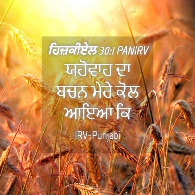 Picture 04 - ਹਿਜ਼ਕੀਏਲ 30:1 PANIRV - ਯਹੋਵਾਹ ਦਾ ਬਚਨ ਮੇਰੇ - Bible Verse Picture