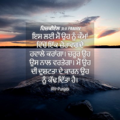 Picture 04 - ਹਿਜ਼ਕੀਏਲ 31:11 PANIRV - ਇਸ ਲਈ ਮੈਂ ਉਹ ਨੂੰ - Bible Verse Picture