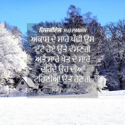 Picture 04 - ਹਿਜ਼ਕੀਏਲ 31:13 PANIRV - ਅਕਾਸ਼ ਦੇ ਸਾਰੇ ਪੰਛੀ - Bible Verse Picture