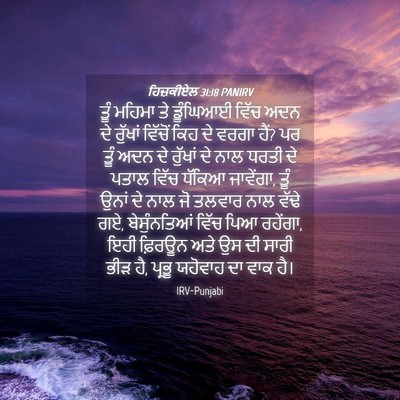 Picture 04 - ਹਿਜ਼ਕੀਏਲ 31:18 PANIRV - ਤੂੰ ਮਹਿਮਾ ਤੇ - Bible Verse Picture