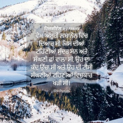 Picture 04 - ਹਿਜ਼ਕੀਏਲ 31:3 PANIRV - ਵੇਖ, ਅੱਸ਼ੂਰੀ - Bible Verse Picture