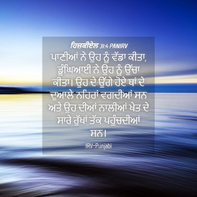 Picture 04 - ਹਿਜ਼ਕੀਏਲ 31:4 PANIRV - ਪਾਣੀਆਂ ਨੇ ਉਹ ਨੂੰ - Bible Verse Picture