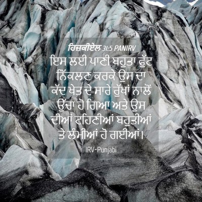 Picture 04 - ਹਿਜ਼ਕੀਏਲ 31:5 PANIRV - ਇਸ ਲਈ ਪਾਣੀ ਬਹੁਤਾ - Bible Verse Picture